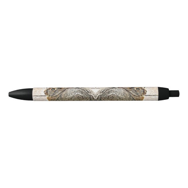 Stylo de lapin de Sonoran (Devant)
