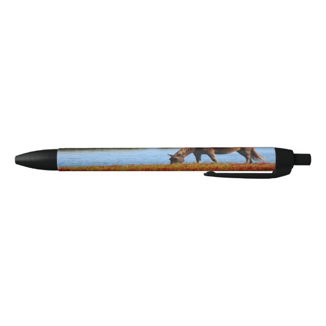 Stylo Noir Beau cheval Brown (Bas)