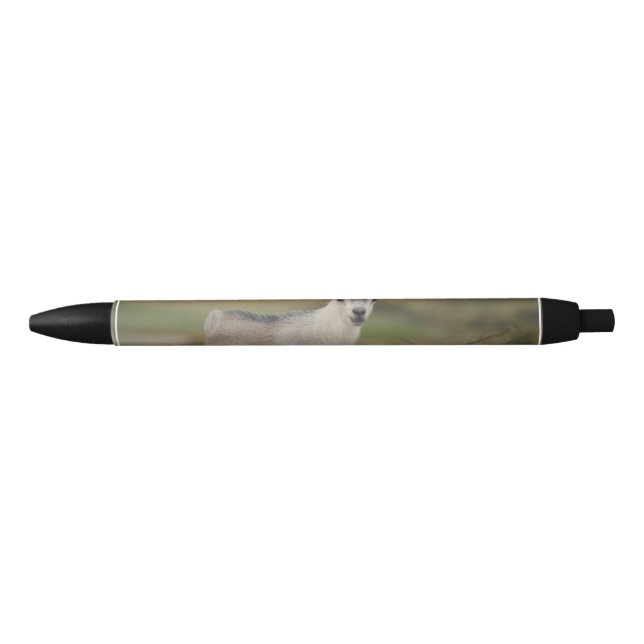 Stylo Noir Chèvre adorable d'enfant (Devant)