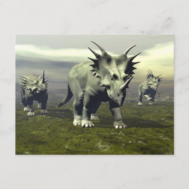 Styracosaurus dinosaurs - 3D render Postcard (Front)