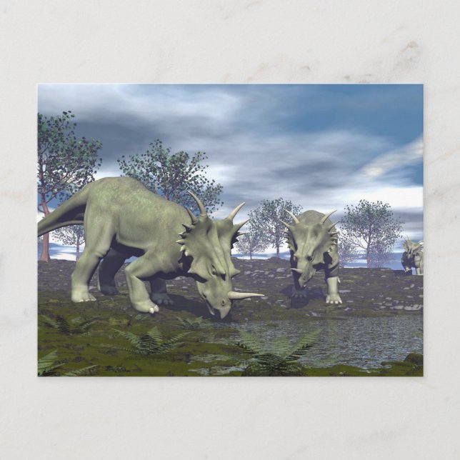 Styracosaurus dinosaurs going to water - 3D render Postcard (Front)