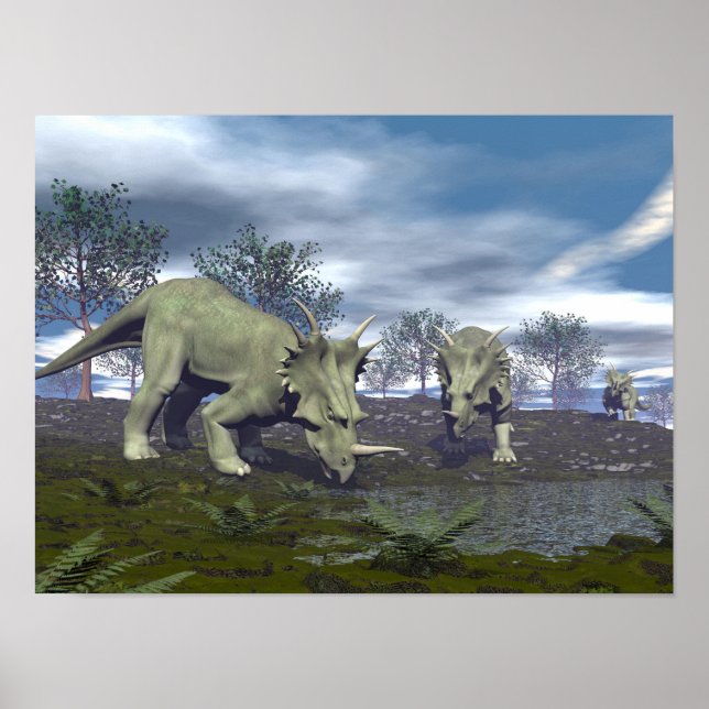 Styracosaurus dinosaurs going to water - 3D render Poster (Front)