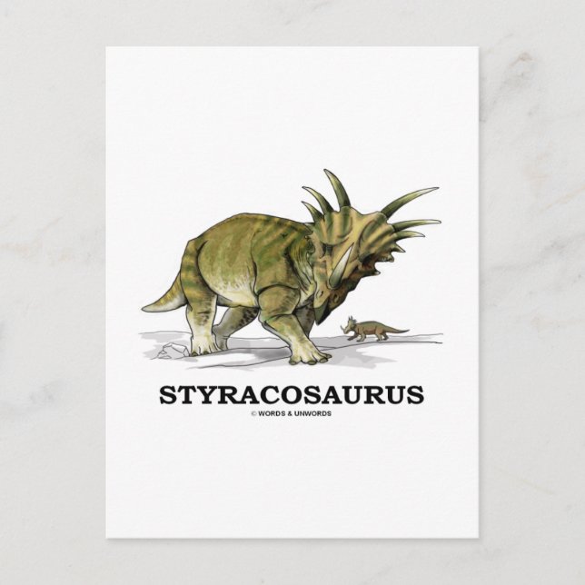 Styracosaurus Postcard (Front)