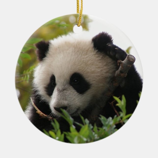 Su Lin, giant panda bear cub at the San Diego Zoo Ceramic Ornament (Front)