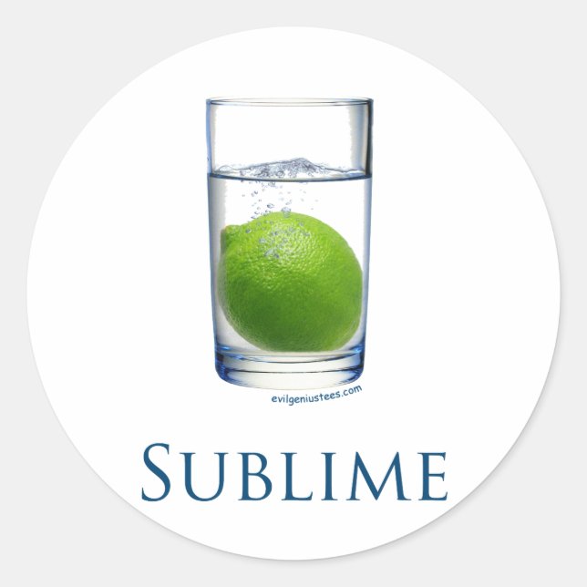 Sublime funny classic round sticker (Front)
