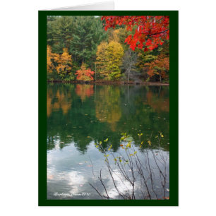 Subtle magnetism  in Nature: Walden Pond