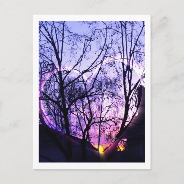 Suburb in Southern California Postcard (Front)