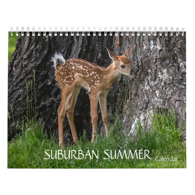 Suburban Summer Calendar (Cover)