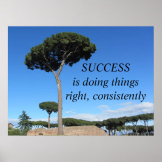 Success Motivational Message Poster