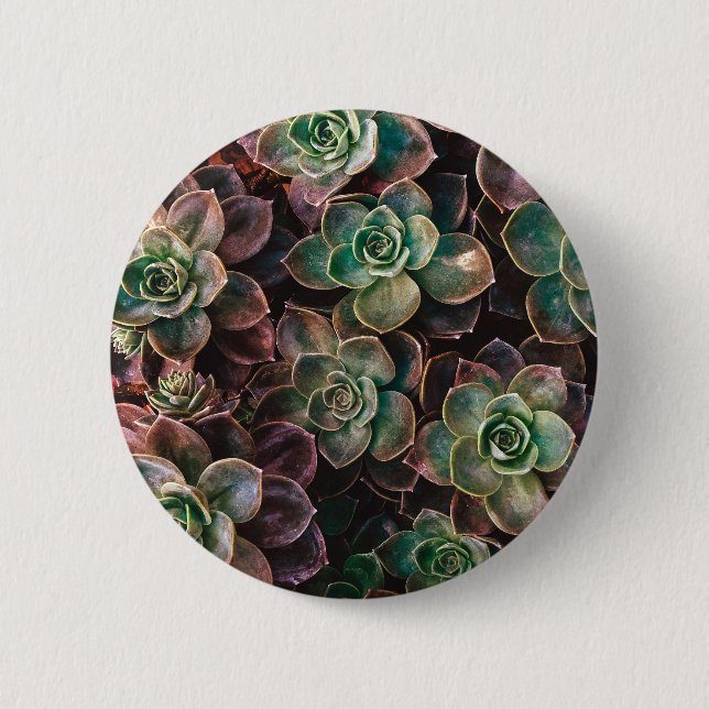 Succulent 2 Inch Round Button (Front)