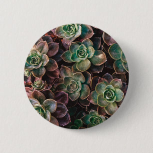 Succulent 2 Inch Round Button