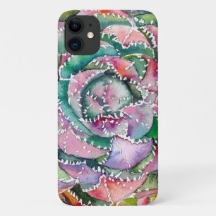 Succulent Aloe brevifolia coque pour n'importe que
