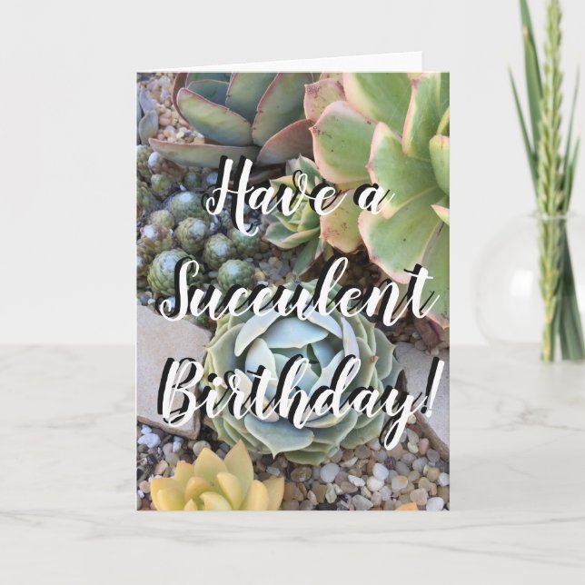 Succulent Birthday Card (Front)