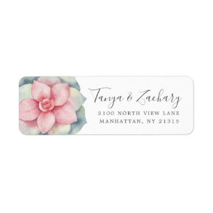 Succulent Bloom   Return Address