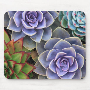 Succulent Bouquet Mouse Pad