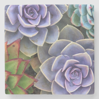 Succulent Bouquet Stone Coaster