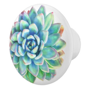 succulent bouton décoratif