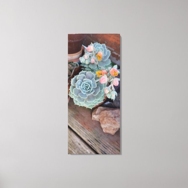 Succulent Cactus Floral Canvas Print (Front)