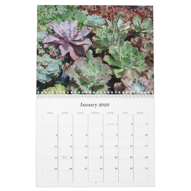 Succulent Calendar (Jan 2026)