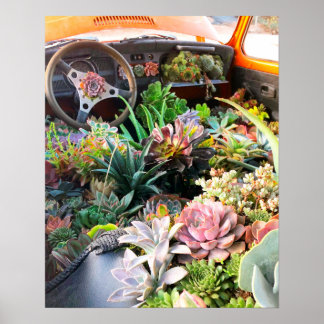 Succulent Car Poster Print