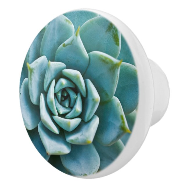 Succulent Ceramic Knob (Right)