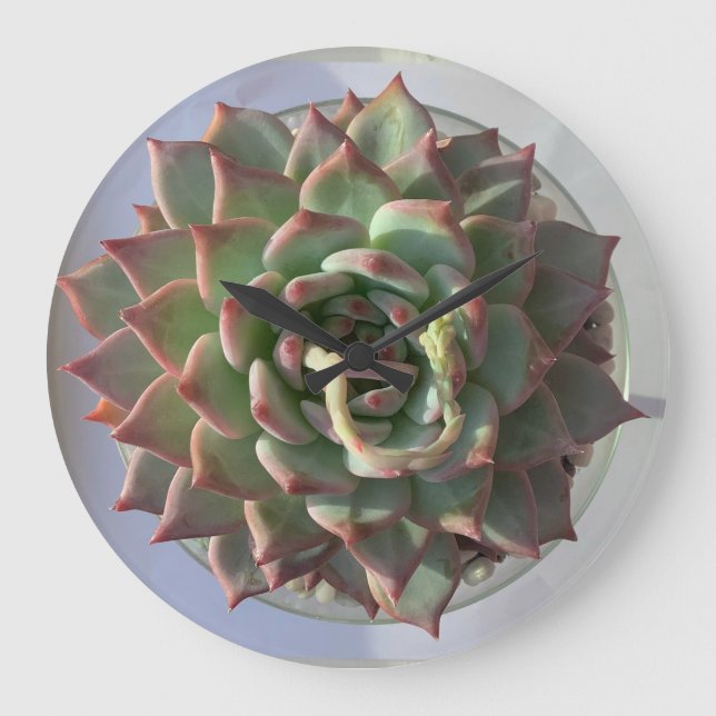Succulent clock (Front)