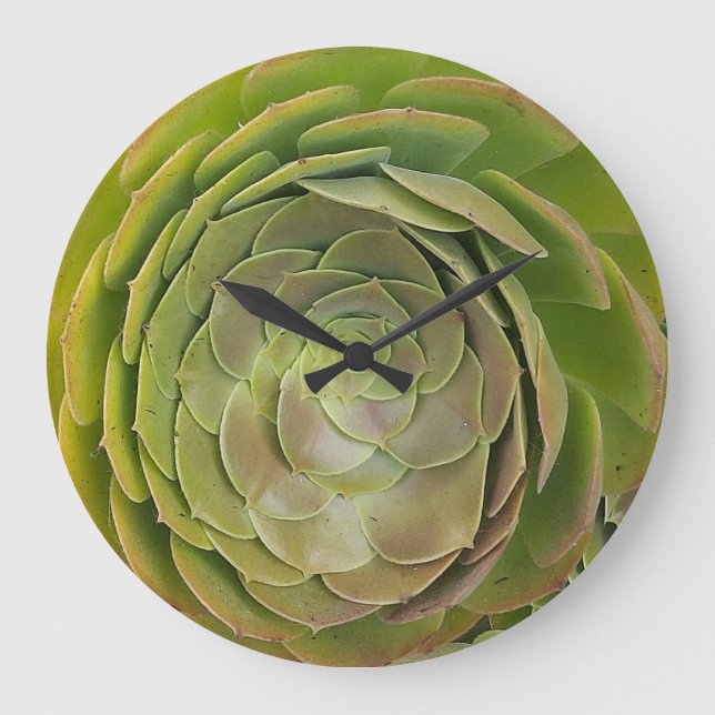 Succulent Clock (Front)