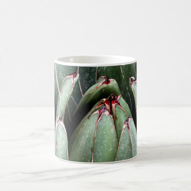 Succulent Close Up Photo Mug (Center)