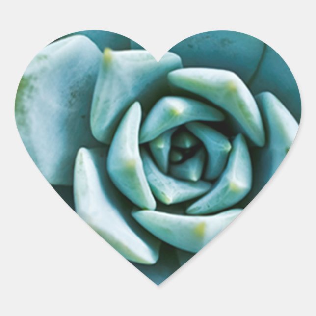 Succulent Closeup Heart Sticker (Front)