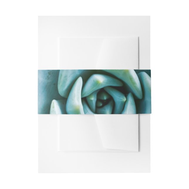 Succulent Closeup Invitation Belly Band (Front Example)