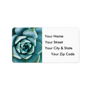 Succulent Closeup Label