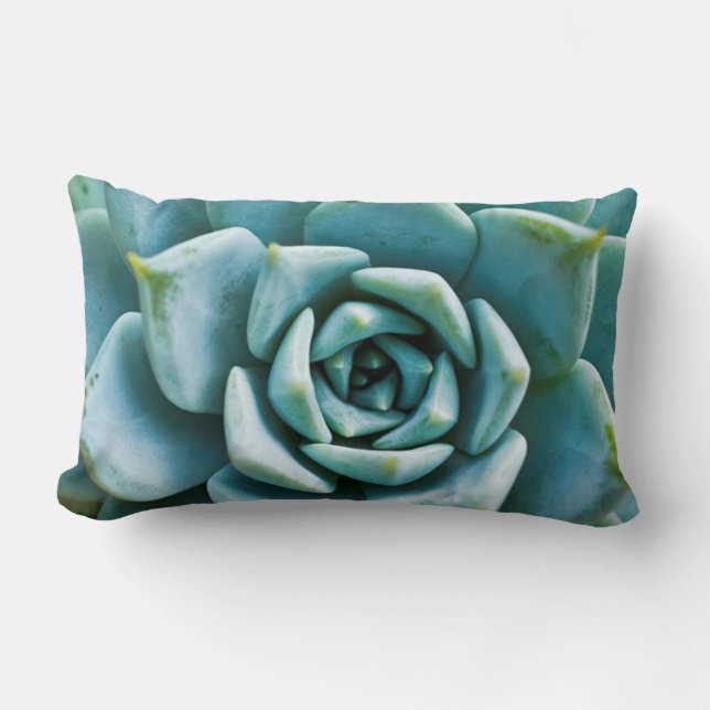 Succulent Closeup Lumbar Pillow (Front)