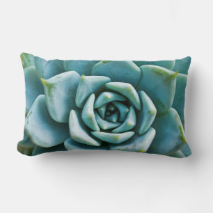 Succulent Closeup Lumbar Pillow