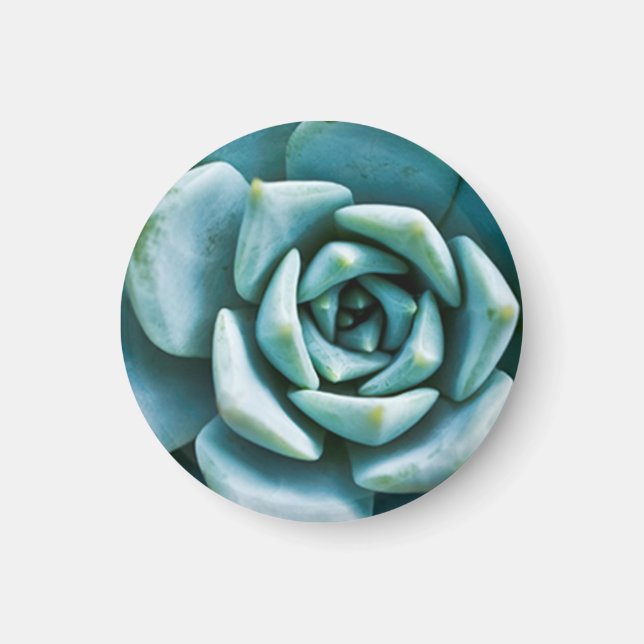 Succulent Closeup Magnet (Front)