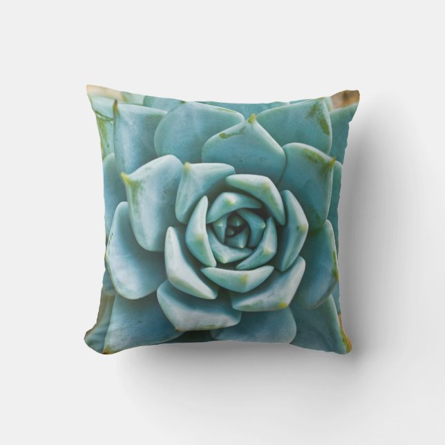 Succulent Closeup Outdoor Pillow (Front)