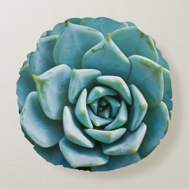 Succulent Closeup Round Pillow (Front)