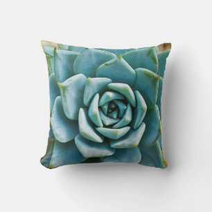 Succulent Closeup Throw Pillow