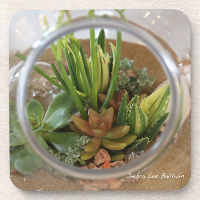 Succulent coasters by Debra Lee Baldwin (Front)