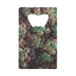 Succulent Credit Card Bottle Opener