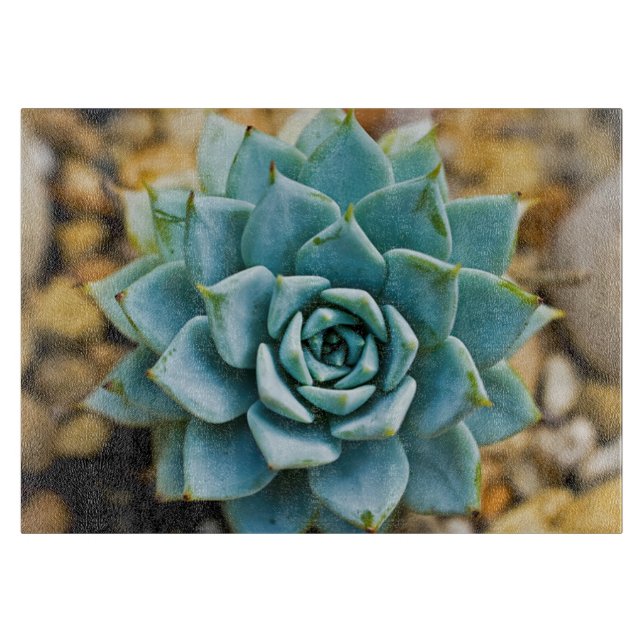 Succulent Cutting Board (Front)