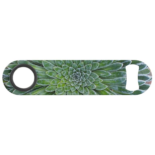 Succulent Desert plant Bar Key (Back Horizontal)