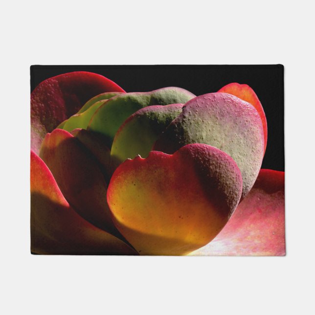 Succulent Desert Plant Doormat (Front)
