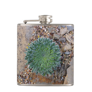 Succulent Desert plant Hip Flask