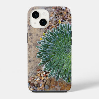 Succulent Desert plant iPhone 14 Case