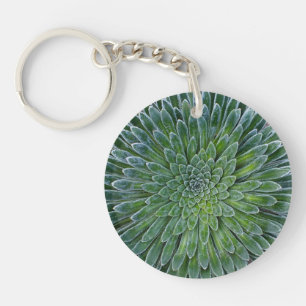 Succulent Desert plant Keychain