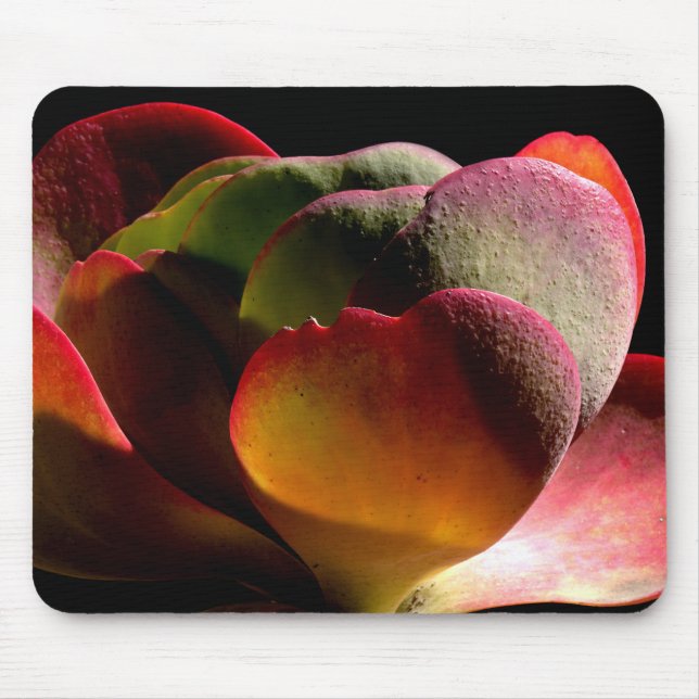 Succulent Desert Plant Mouse Pad (Front)