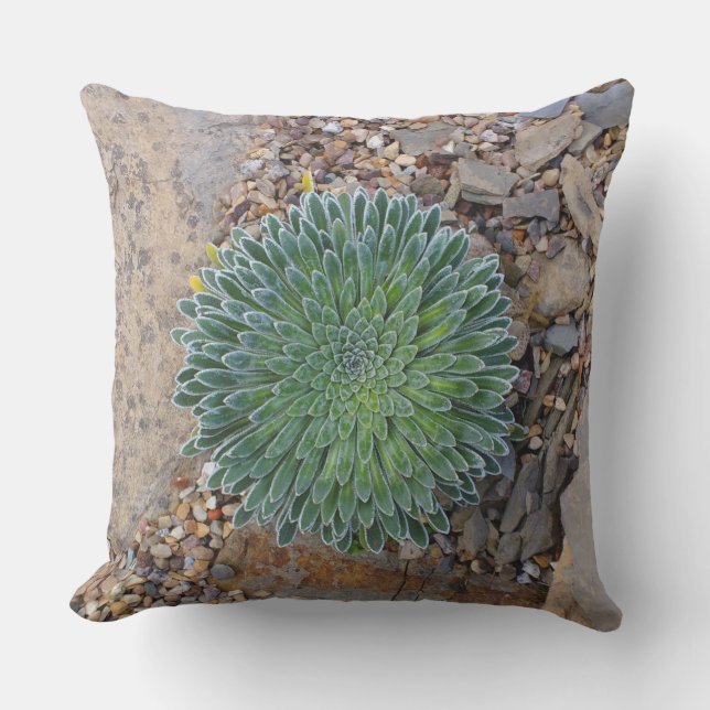 Succulent Desert plant Outdoor Pillow (Front)