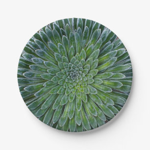 Succulent Desert plant Paper Plate