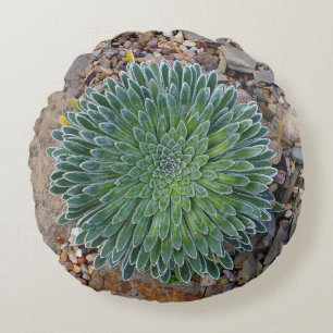 Succulent Desert plant Round Pillow