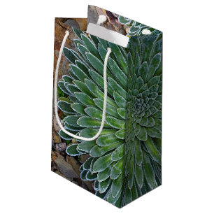 Succulent Desert plant Small Gift Bag
